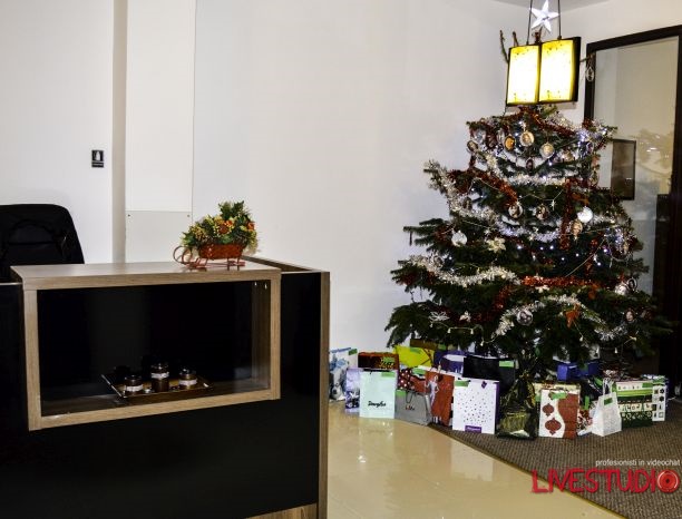 bradul de craciun cadouri videochat