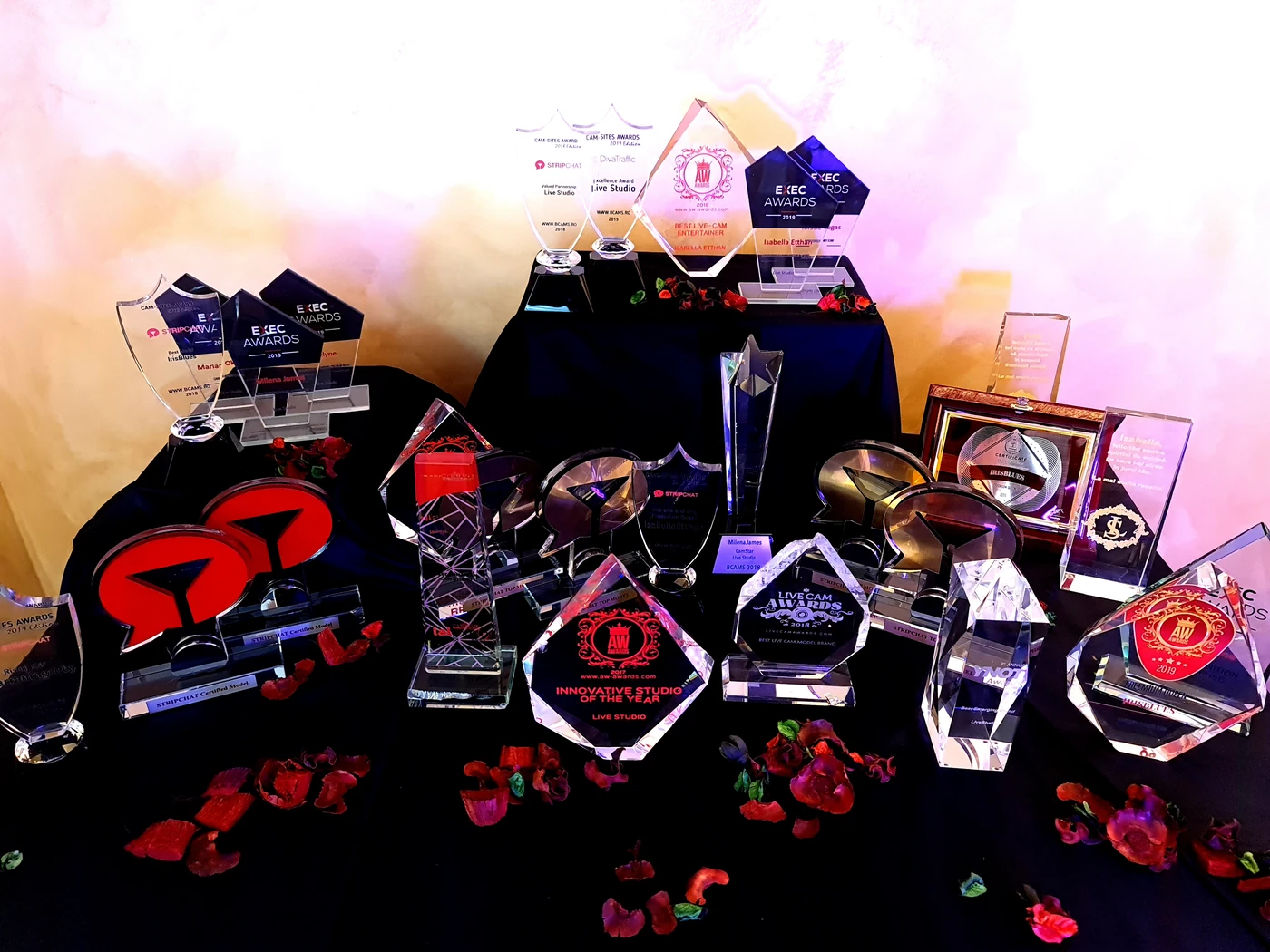 Trofee și premii reale LiveStudio